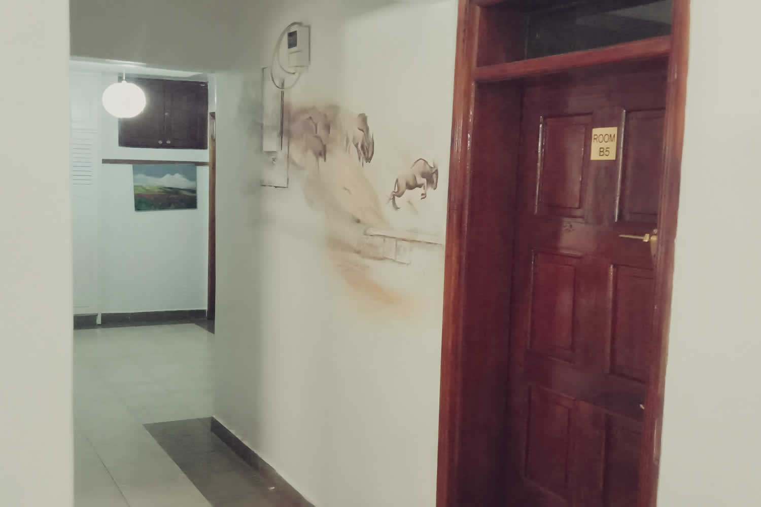 Bonsai Villa General photo 15